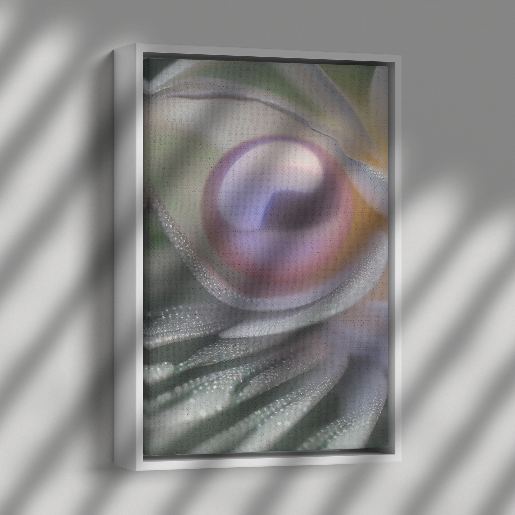 _JUly_21st__By_I_Love_Rose_Flowers_Framed_Canvas_V_Rectangle_Dramatic_Shadow_Mockup.png
