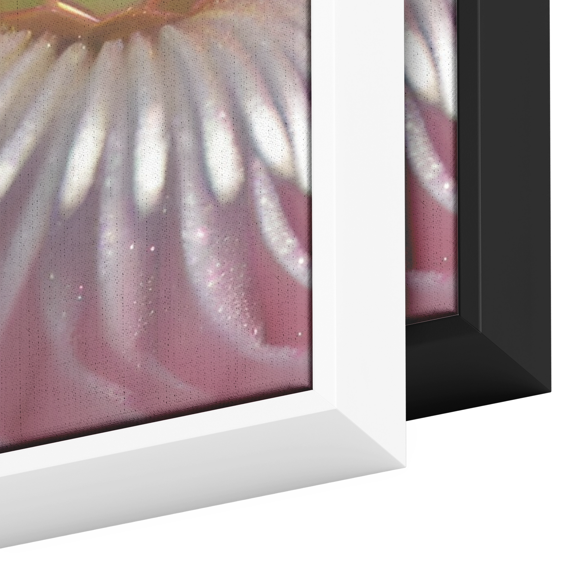 _Opals__Pearls_9__-_By_I_Love_Rose_F_Framed_Canvas_V_Rectangle_Color_Options_Mockup.png